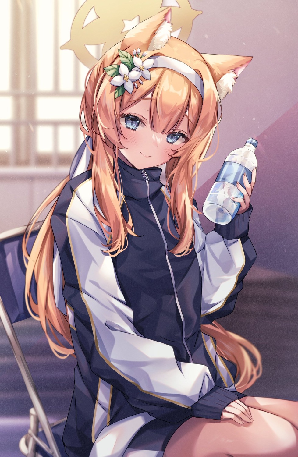 animal_ears, blue_archive, gym_uniform, halo, iochi_mari, nekomimi, sorashima