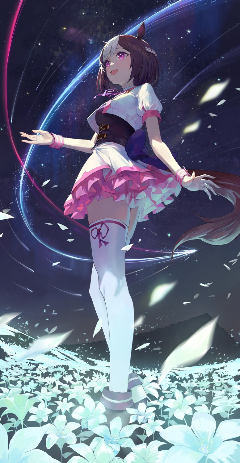 animal_ears, chobbb, special_week_(umamusume), tail, thighhighs, uma_musume_pretty_derby