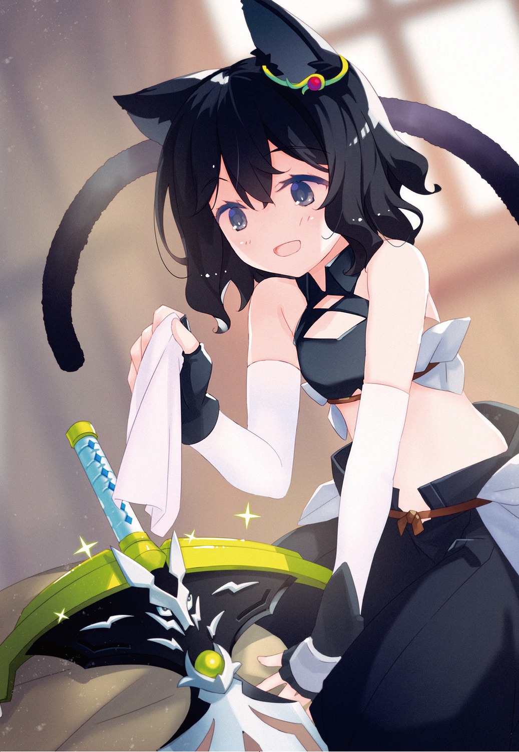 animal_ears, fran_(tenken), nekomimi, ruroo, shishou_(tenken), sword, tail, tensei_shitara_ken_deshita