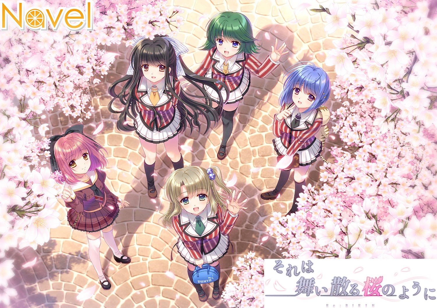 hoshizaki_nozomi, mori_aoba, navel, nishimata_aoi, satomi_kodama, seifuku, sore_wa_maichiru_sakura_no_youni, thighhighs
