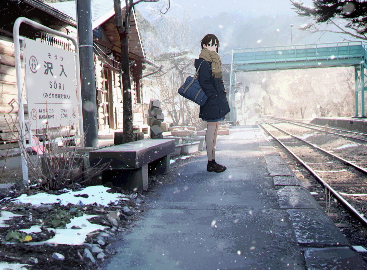 photo, sakeharasu, seifuku