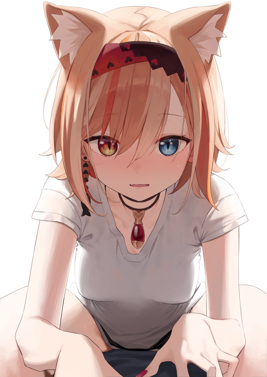 animal_ears, heterochromia, nekomimi, syhan