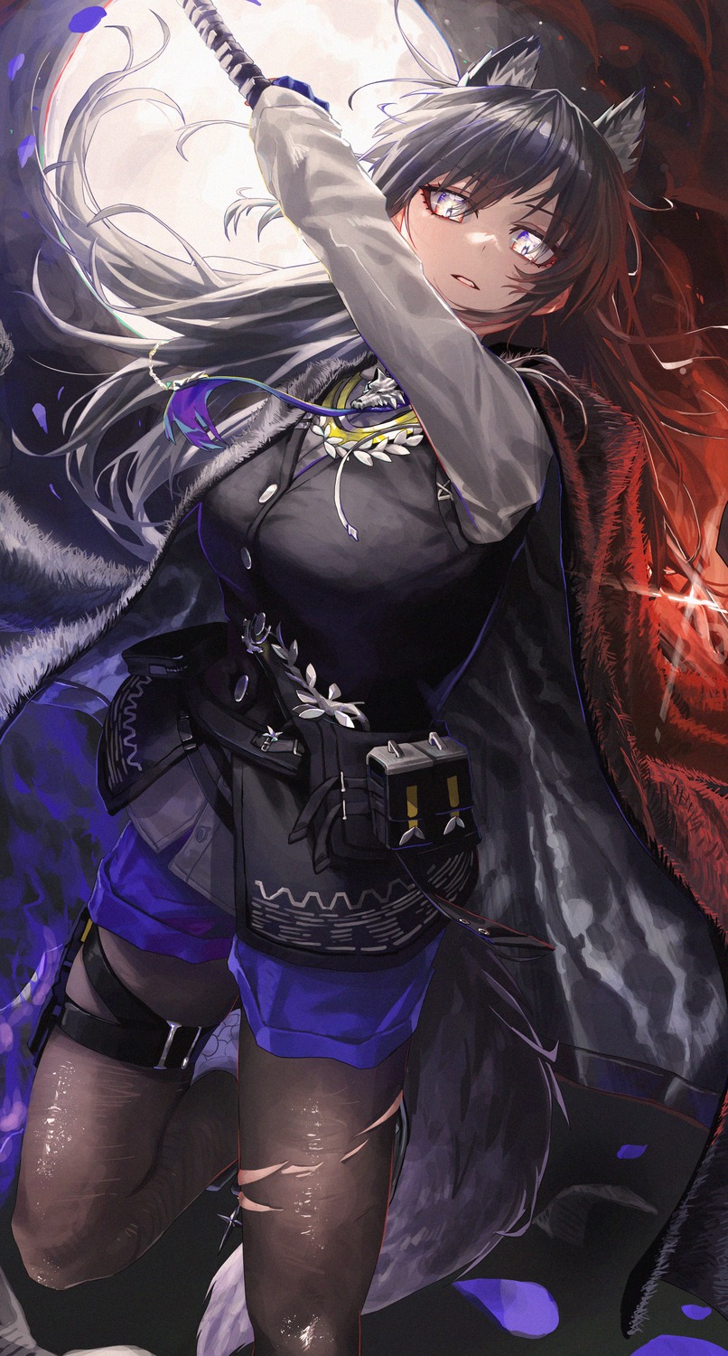 animal_ears, arknights, garter, monge_baby, pantyhose, sword, tail, texas_(arknights)