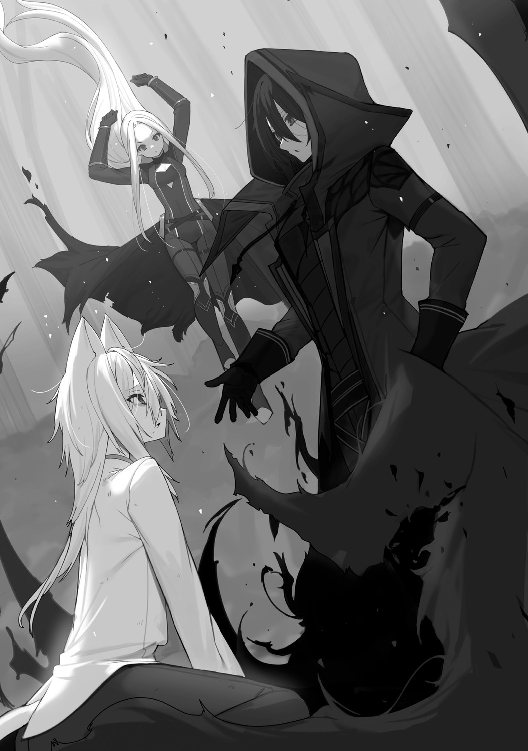 alpha_(kagejitsu), animal_ears, bodysuit, cid_kagenou, kage_no_jitsuryokusha_ni_naritakute!, monochrome, tail, touzai