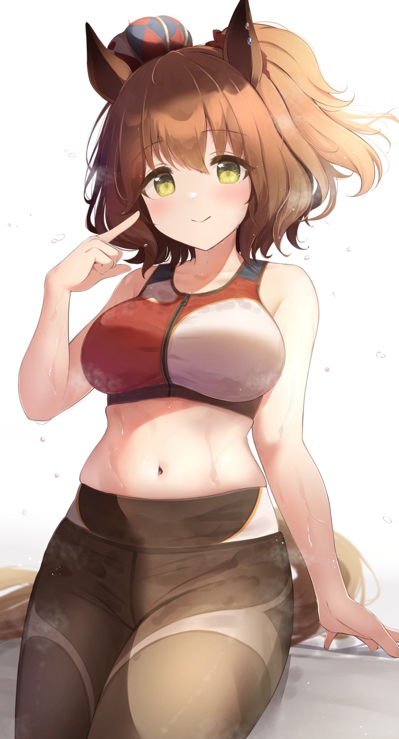 animal_ears, aston_machan_(umamusume), gym_uniform, hazuki_lime, tail, uma_musume_pretty_derby