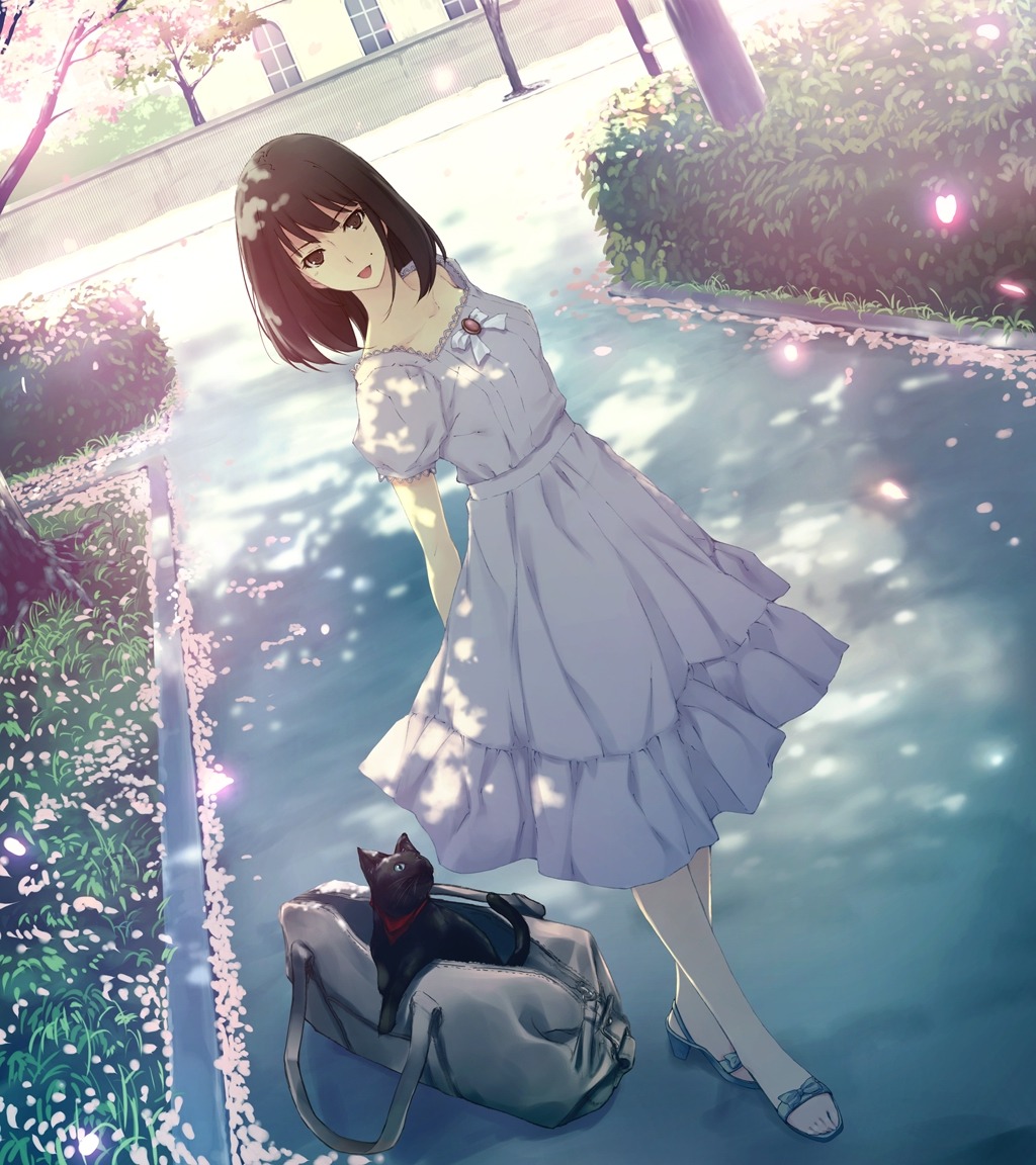 caucasus, dress, game_cg, innocent_grey, nanatsuki_venio, neko, sugina_miki