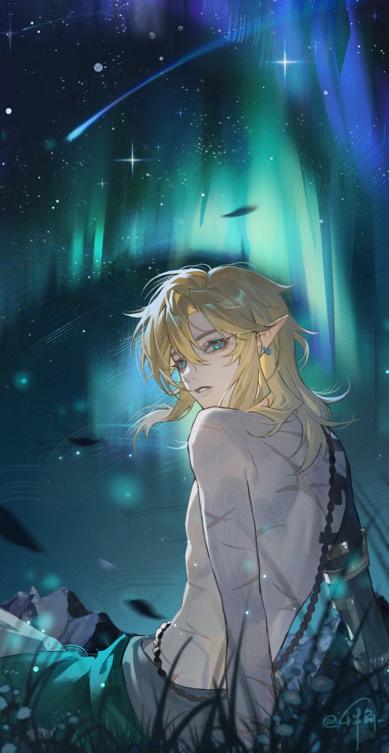 link, male, pointy_ears, qianben_shan, the_legend_of_zelda
