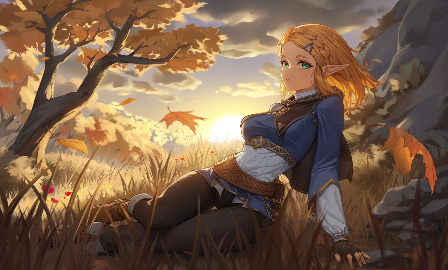 pointy_ears, princess_zelda, stormstx, the_legend_of_zelda