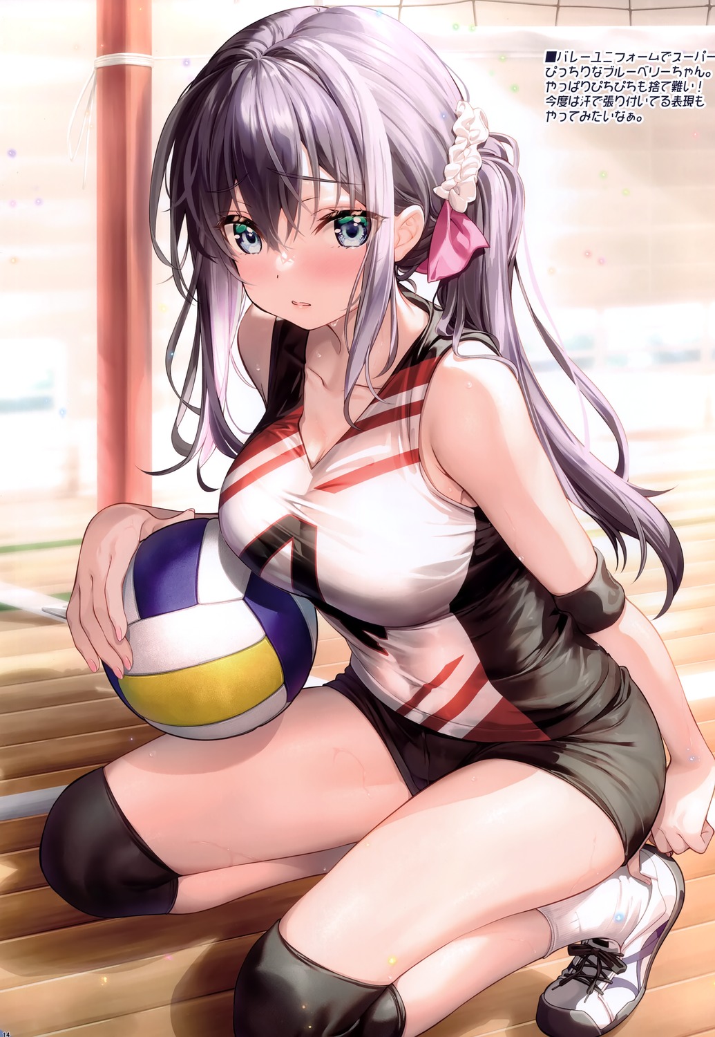 blueberry, fujima_takuya, gym_uniform