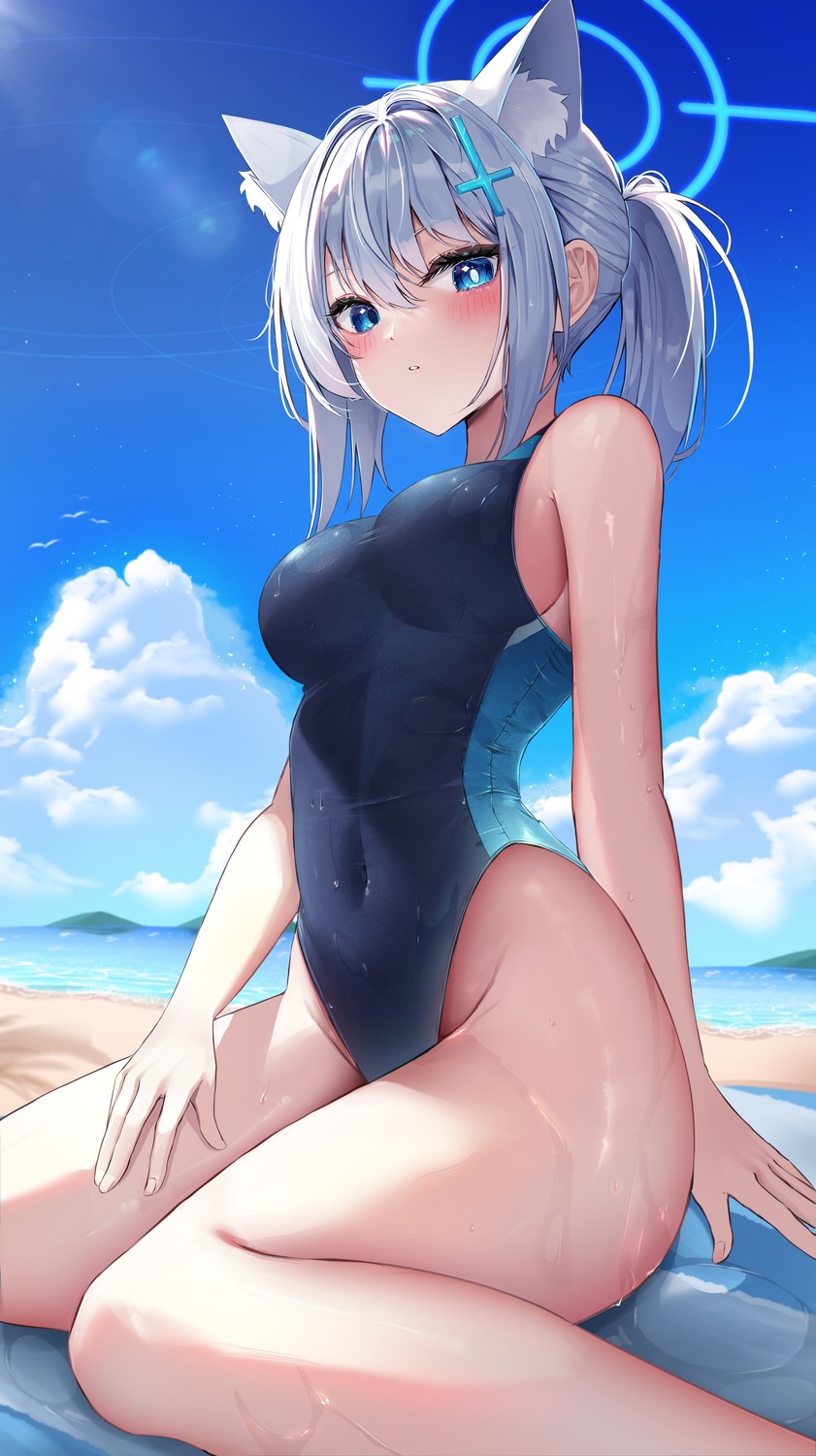 animal_ears, blue_archive, halo, li_se, nekomimi, sunaookami_shiroko, swimsuits