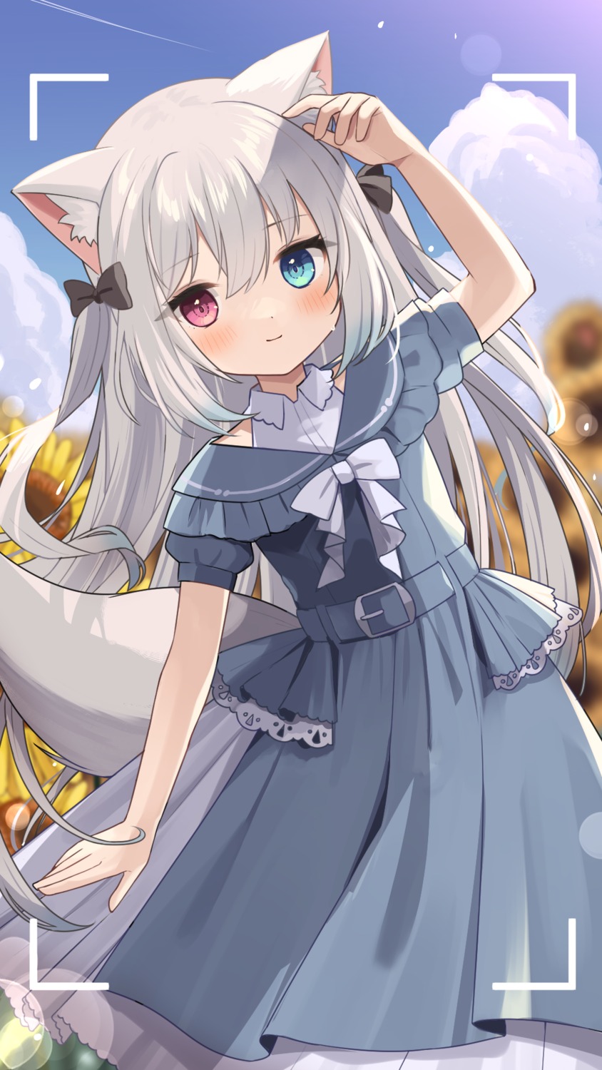 animal_ears, dress, goma_(u_p), heterochromia, tail