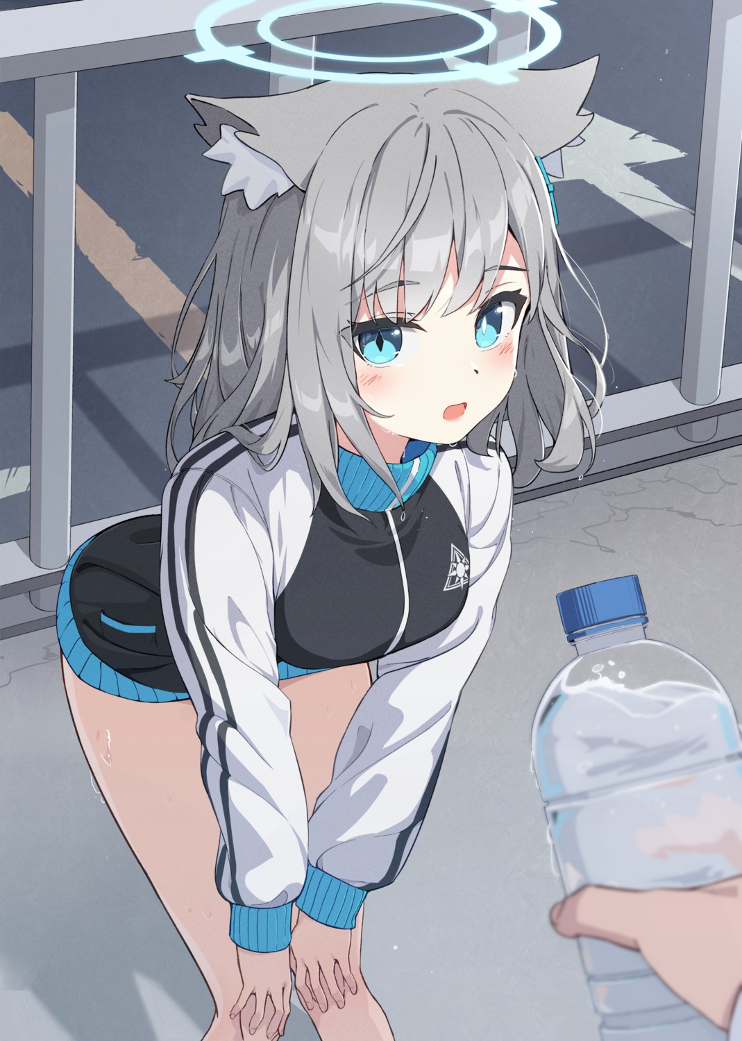 animal_ears, blue_archive, gym_uniform, halo, nekomimi, seero, sunaookami_shiroko