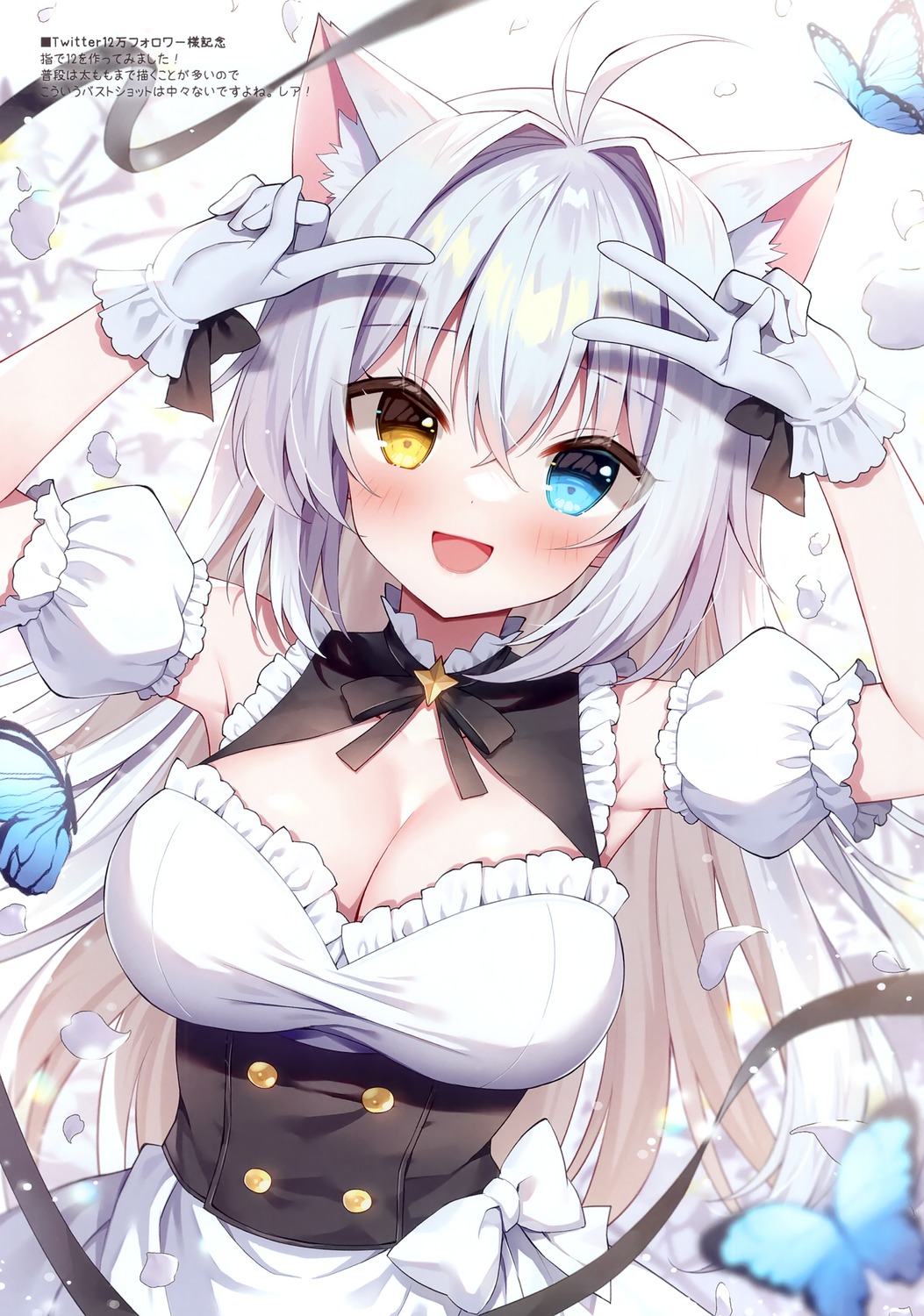 aina_rive, animal_ears, heterochromia, maid, mauve, nekomimi, wata★punch