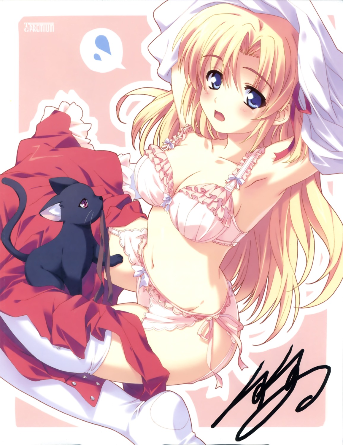 bra, garter_belt, kusukusu, marie_rudel, neko, palette, pantsu, sakura_strasse