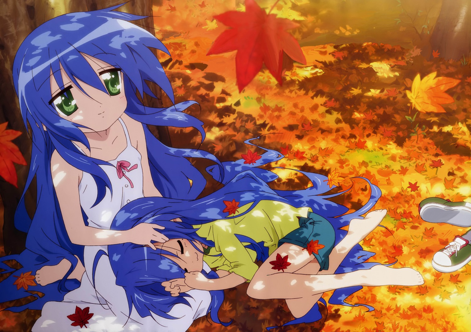 izumi_kanata, izumi_konata, lucky_star, sakamoto_kazuya