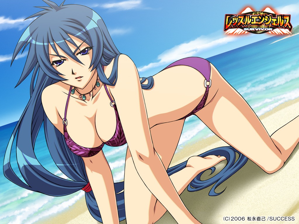 bikini, cleavage, hal, nakamori_azumi, success, swimsuits, wallpaper, wrestle_angels