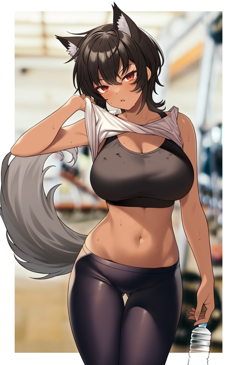 animal_ears, bra, cleavage, gym_uniform, hoshoku_club, ookami_itsuki, shirt_lift, tail