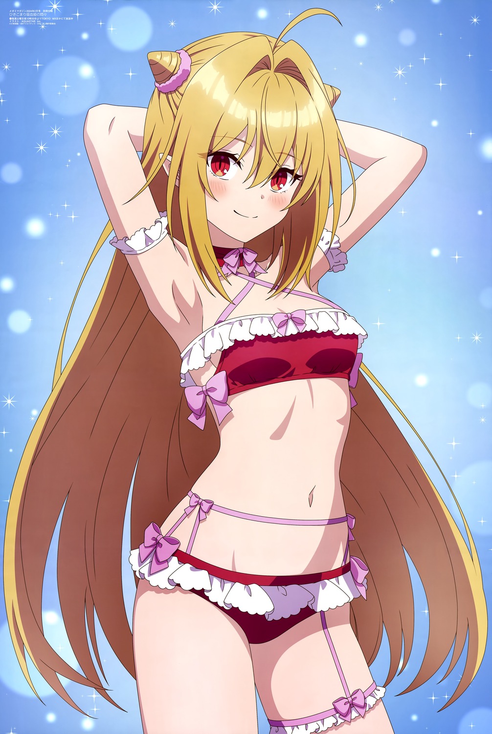 aquastar_inc., bikini, garter, hikikomari_kyuuketsuki_no_monmon, pointy_ears, swimsuits, terakomari_gandesblood