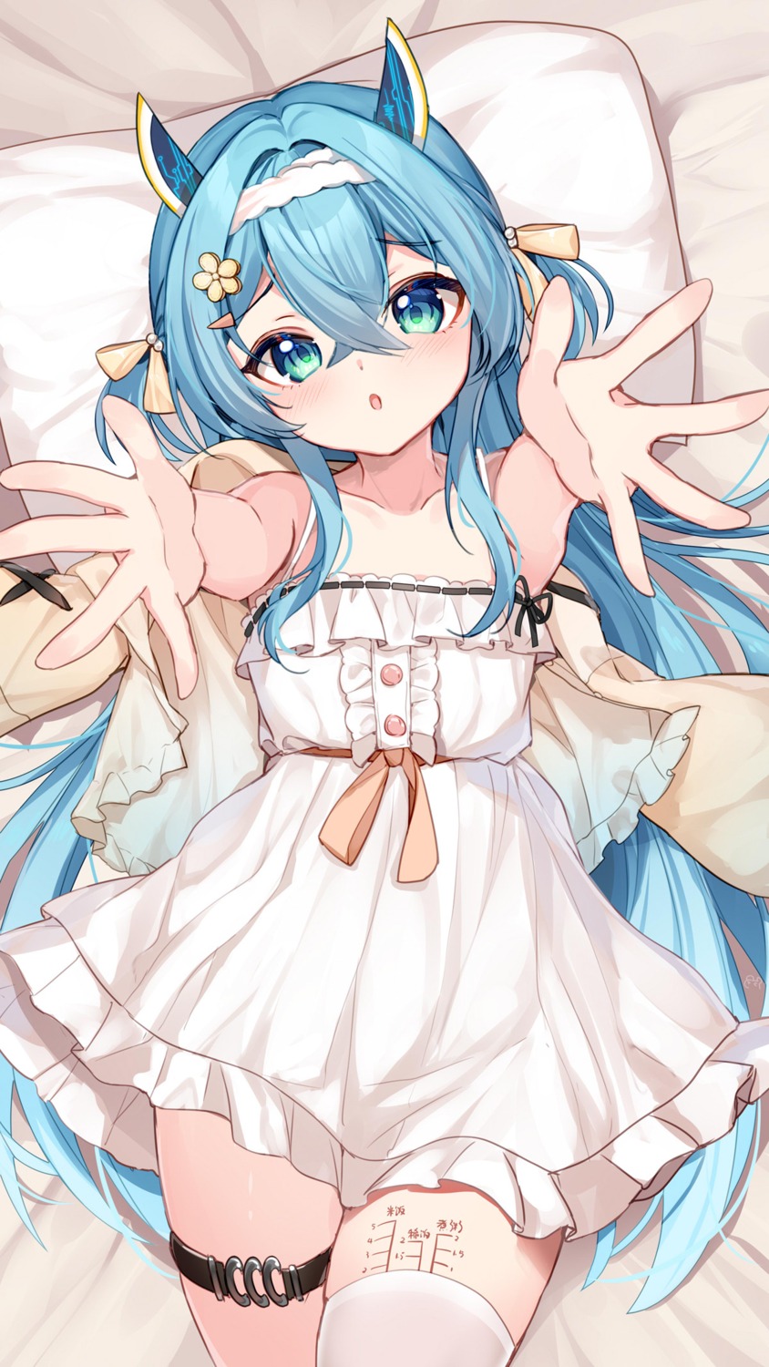 bison_cangshu, dress, garter, thighhighs