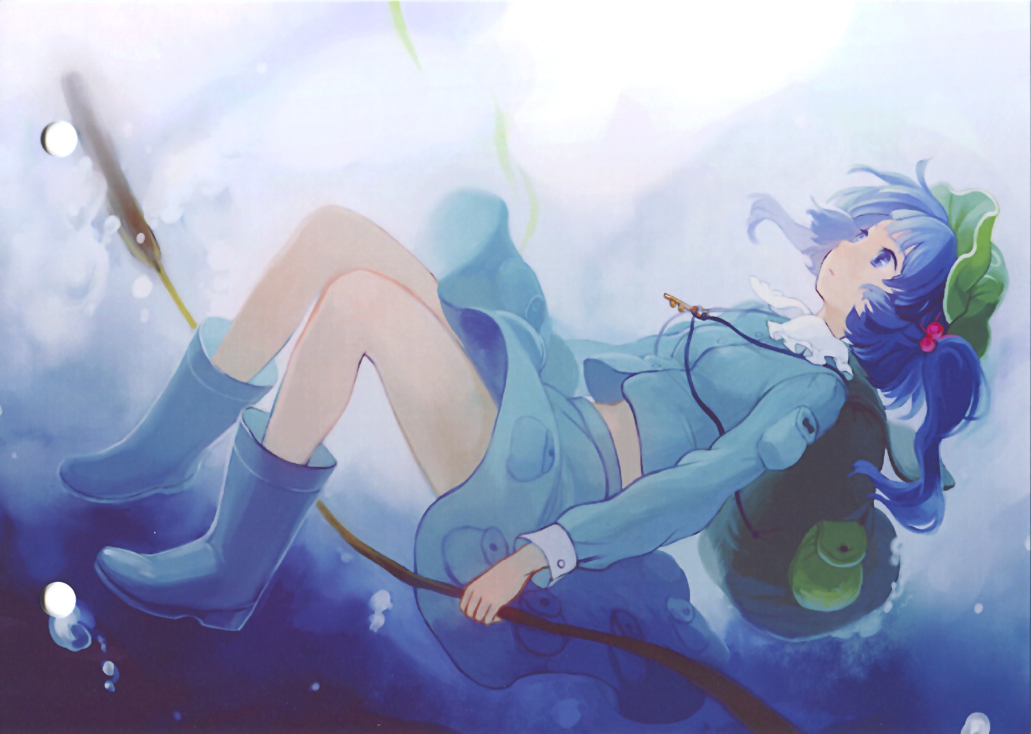 iwamoto_james, kawashiro_nitori, touhou
