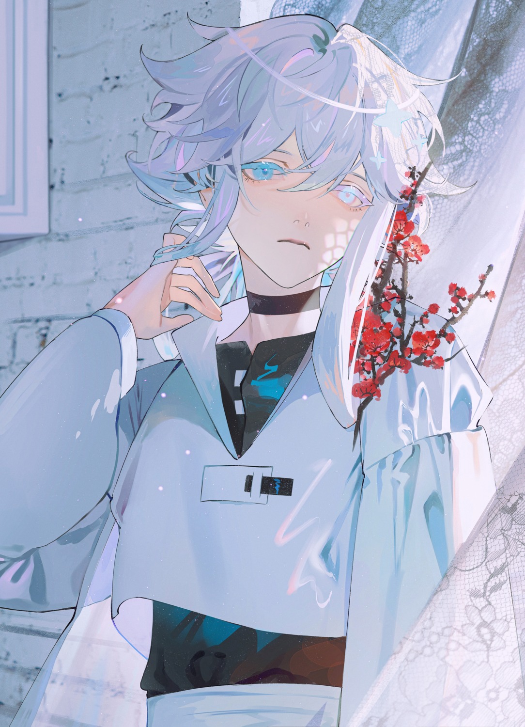 heterochromia, male, parai0