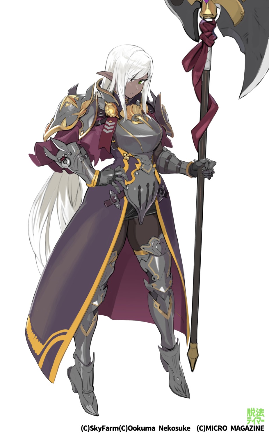 armor, dappou_tamer_no_nariagari_boukentan, elf, heels, ookuma_nekosuke, pantyhose, pointy_ears, thighhighs
