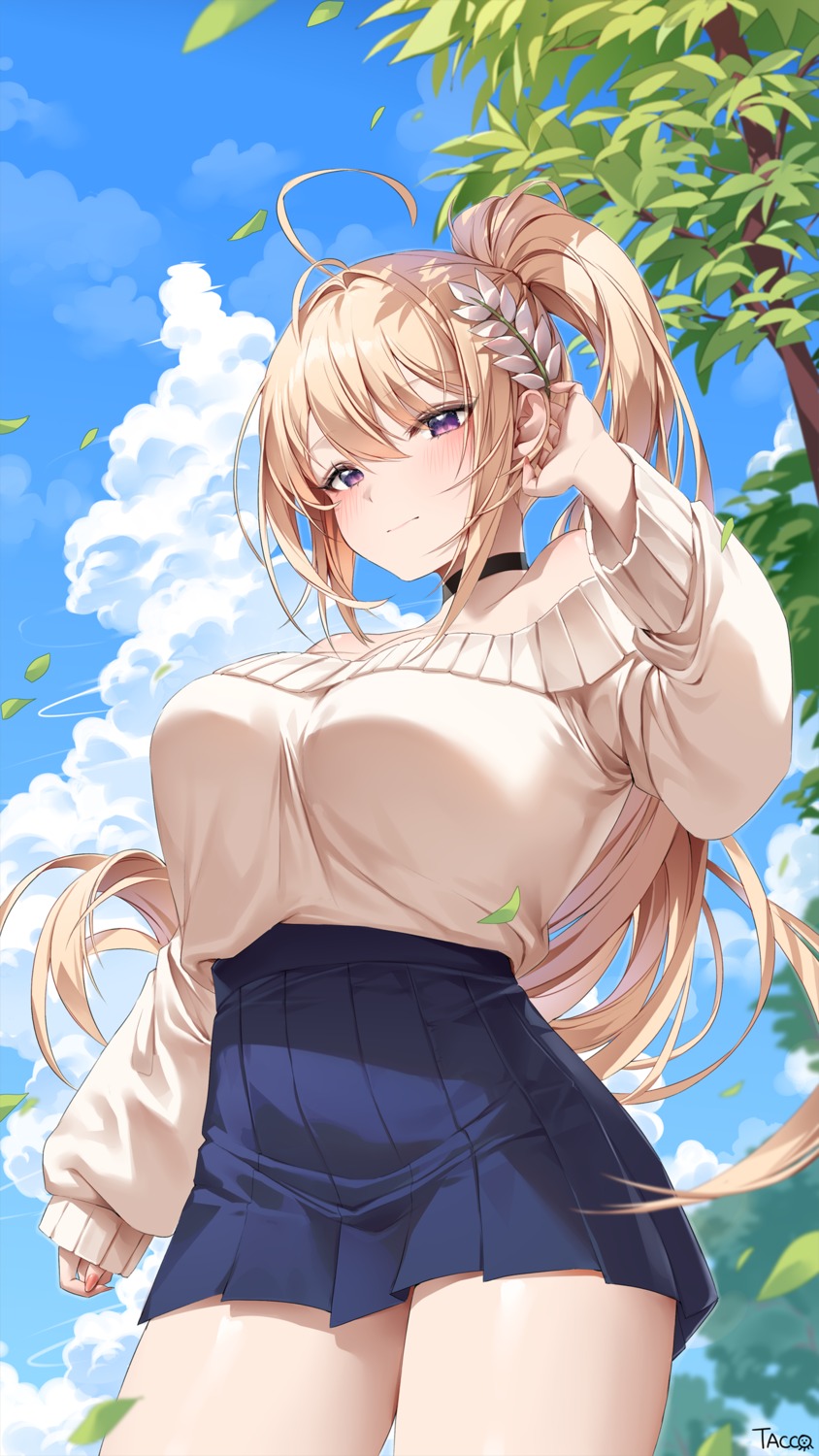 sweater, tacco_(tikeworld)