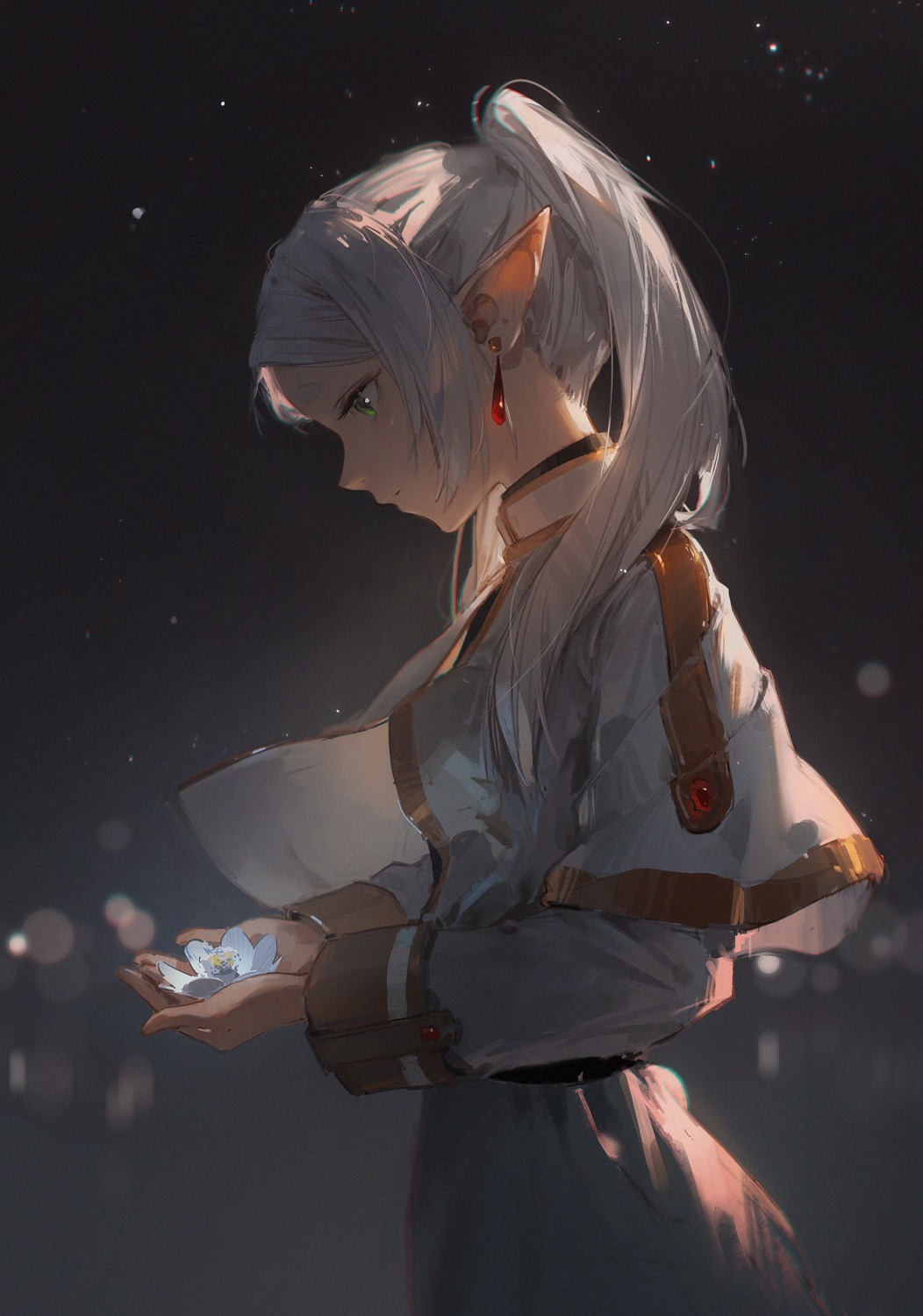 dinoartforame, elf, frieren, pointy_ears, sousou_no_frieren