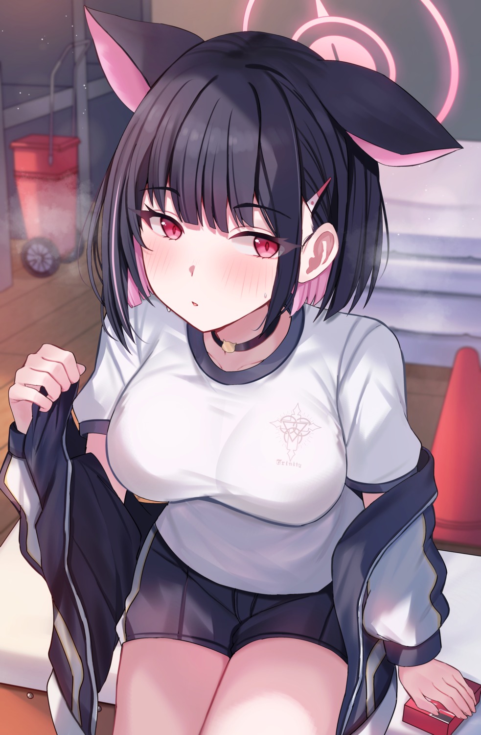 animal_ears, blue_archive, gym_uniform, halo, kyouyama_kazusa, mi_taro333, nekomimi, undressing