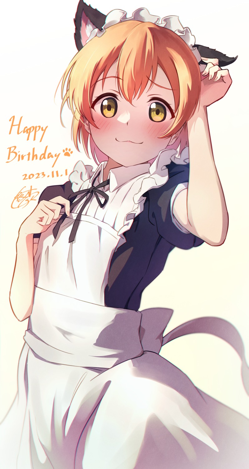 animal_ears, hoshizora_rin, love_live!, love_live!_(series), maid, nekomimi, yatoroku