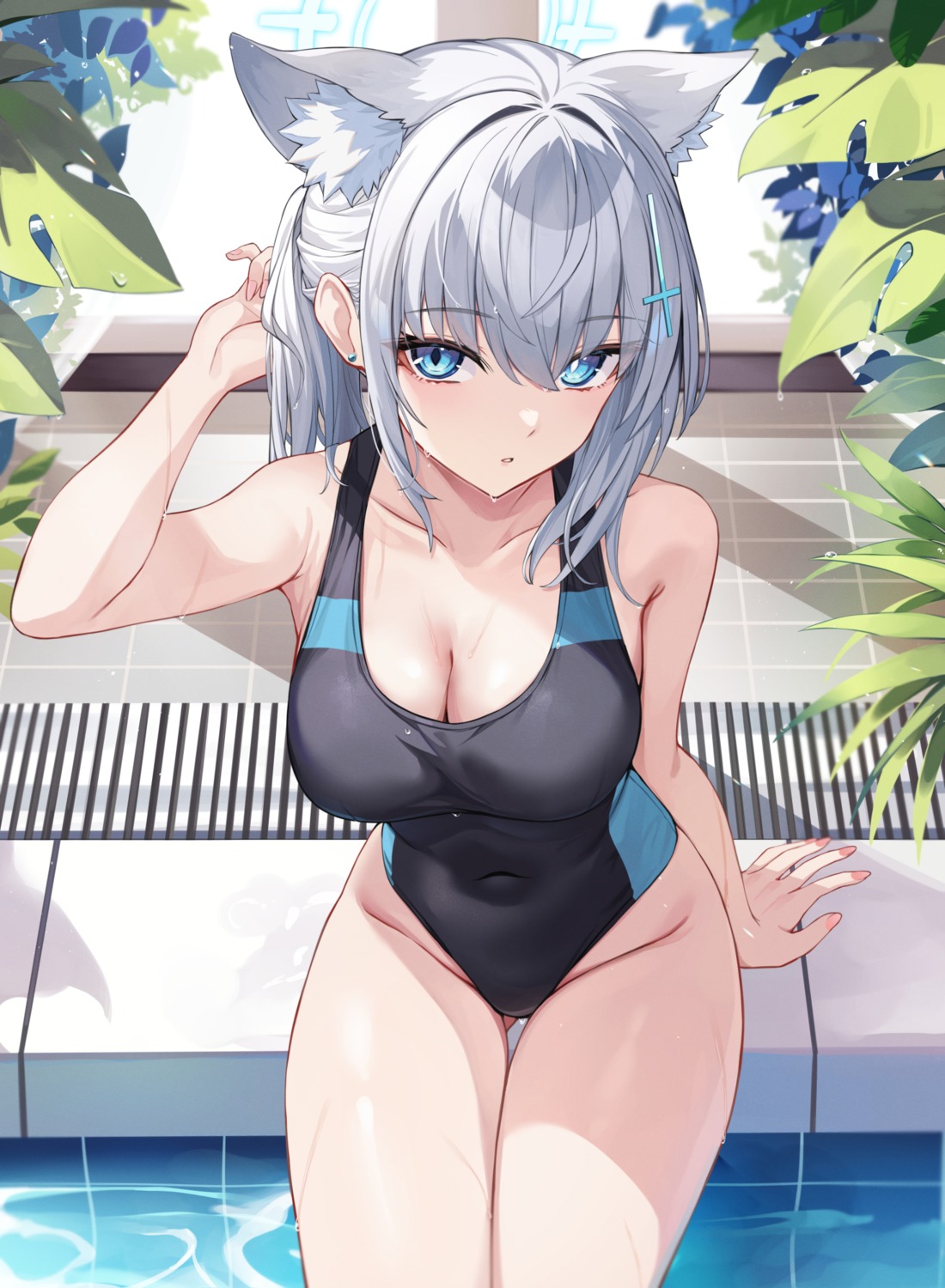 animal_ears, blue_archive, halo, nekomimi, sunaookami_shiroko, swimsuits, takehana_note, wet