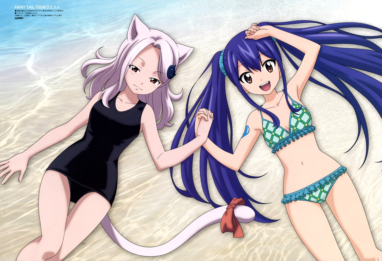 animal_ears, bikini, charle, fairy_tail, hokkaido_azmacy_inc., nekomimi, school_swimsuit, swimsuits