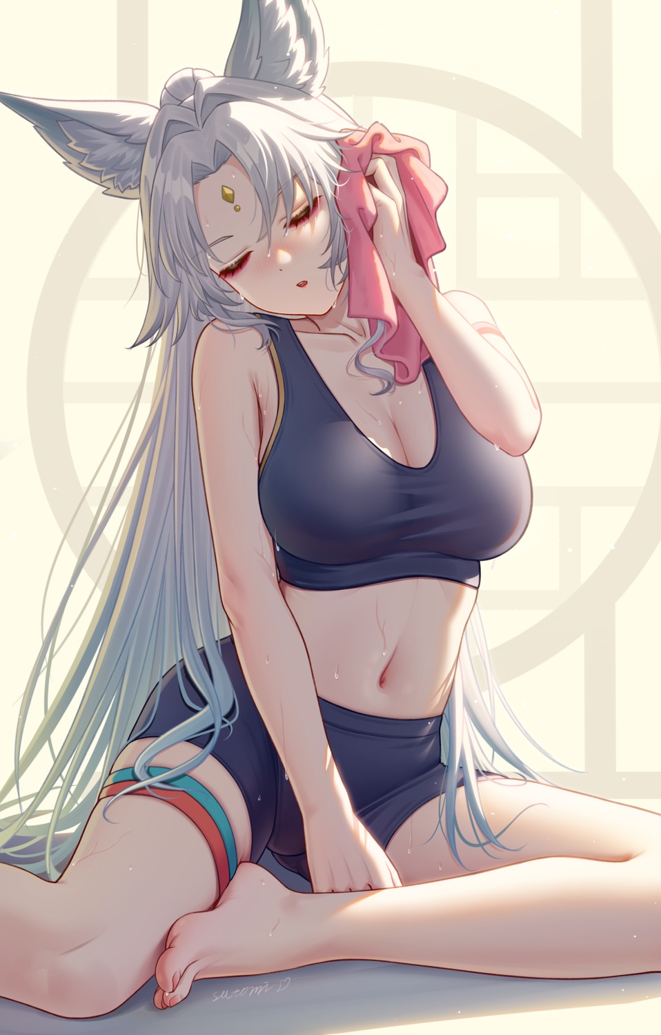 animal_ears, cleavage, feixiao, garter, honkai:_star_rail, satomi_(745684552), wet
