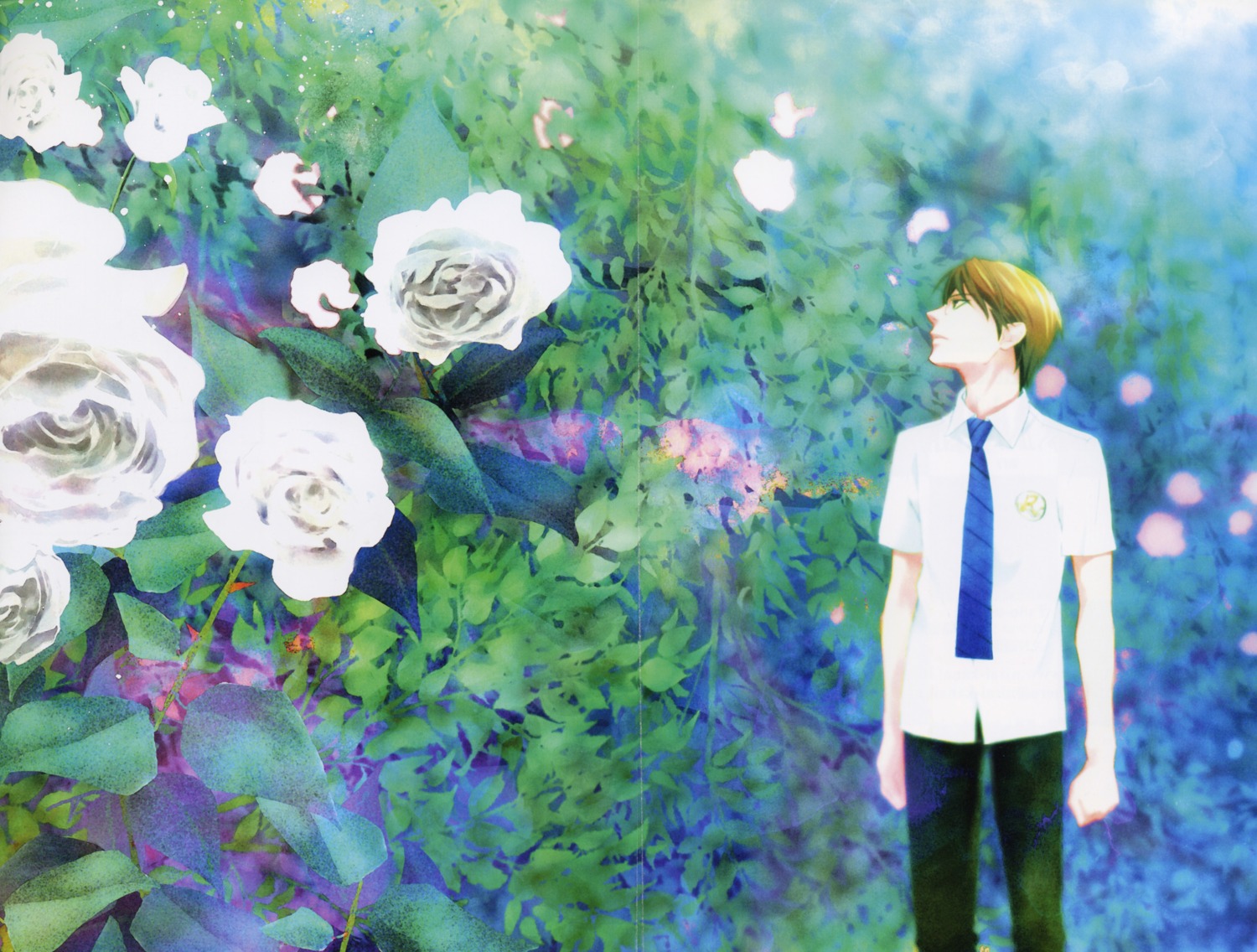 crease, fixme, landscape, male, tennis_no_ouji-sama