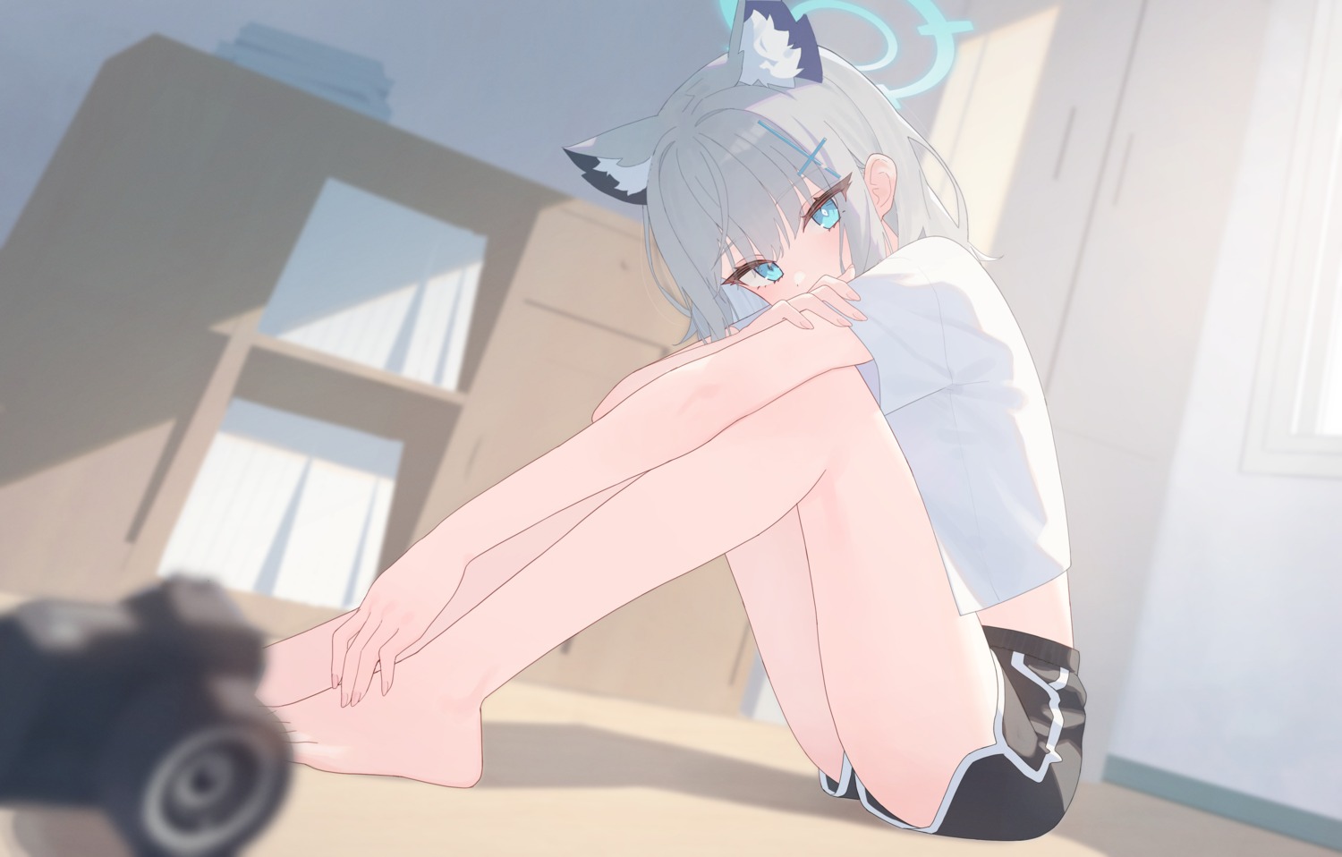 animal_ears, blue_archive, halo, nekomimi, sunaookami_shiroko, suumon