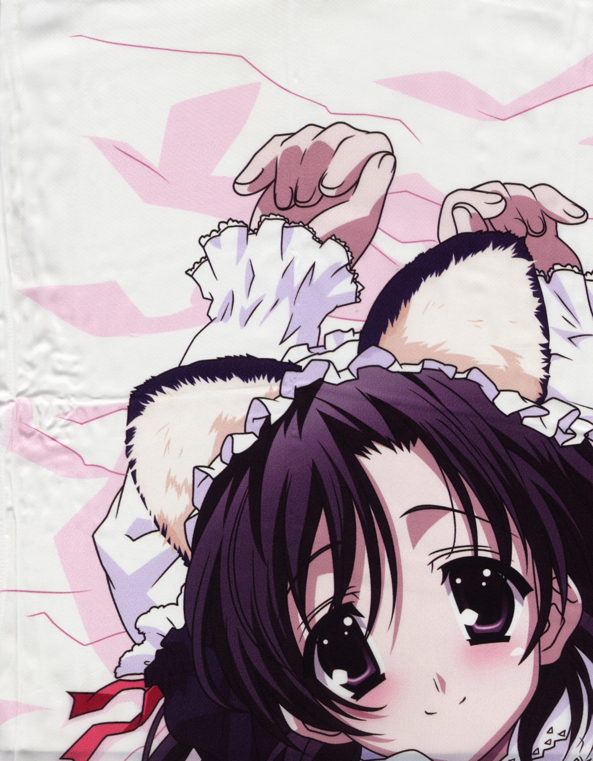 animal_ears, katsura_kokoro, nekomimi, school_days