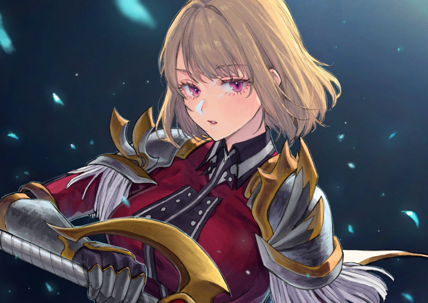 armor, cha_hae-in, na_honjaman_level_up, sword, uni_(omochi_unicorn), uniform