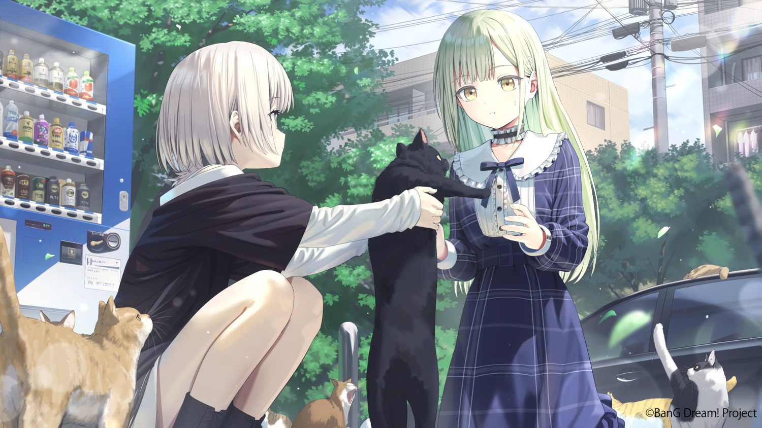 bang_dream!, bang_dream!_ave_mujica, bang_dream!_it's_mygo!!!!!, dress, kaname_raana, neko, wakaba_mutsumi, wallpaper