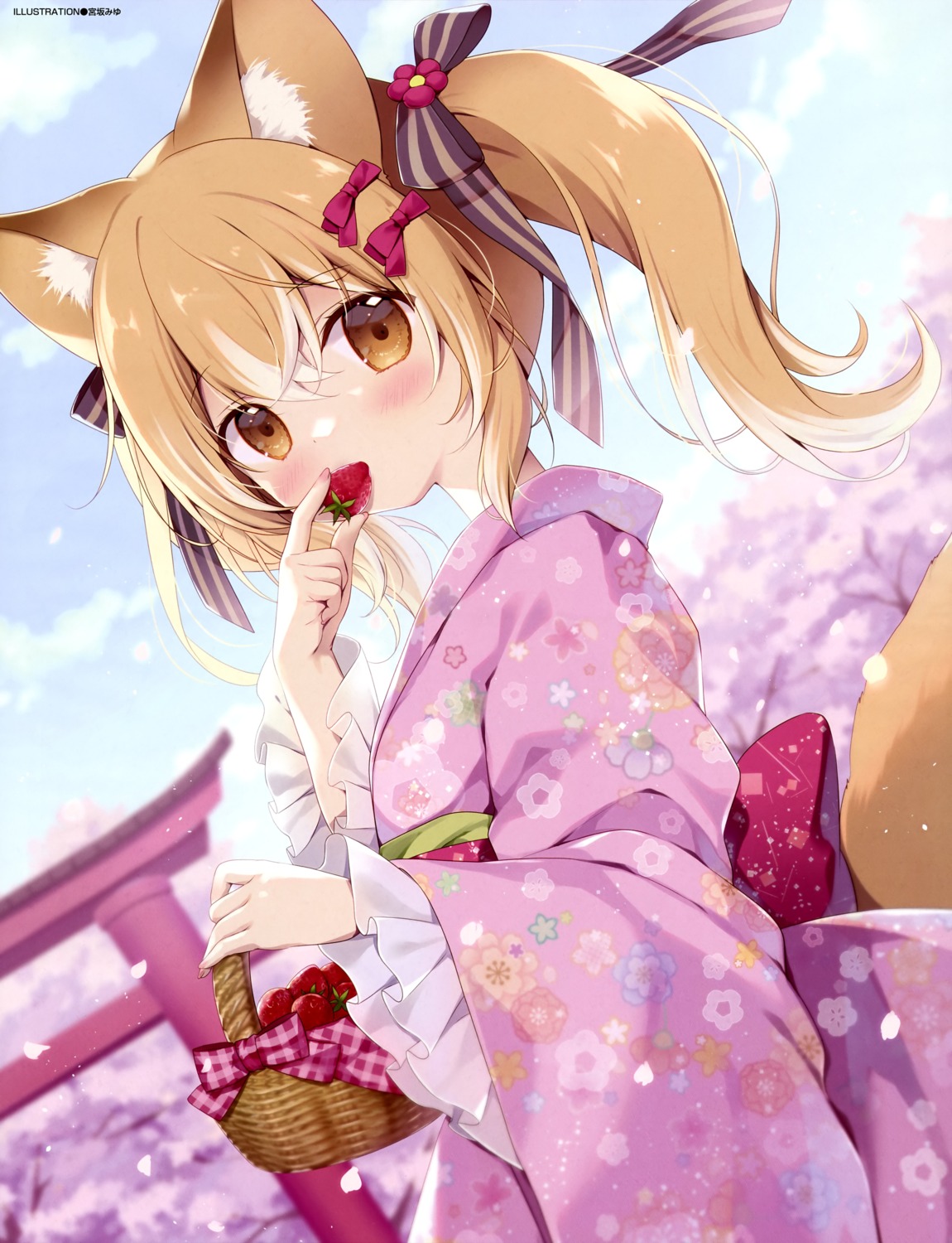 animal_ears, hiyori_(canvas+garden), lolita_fashion, miyasaka_miyu, tail, wa_lolita