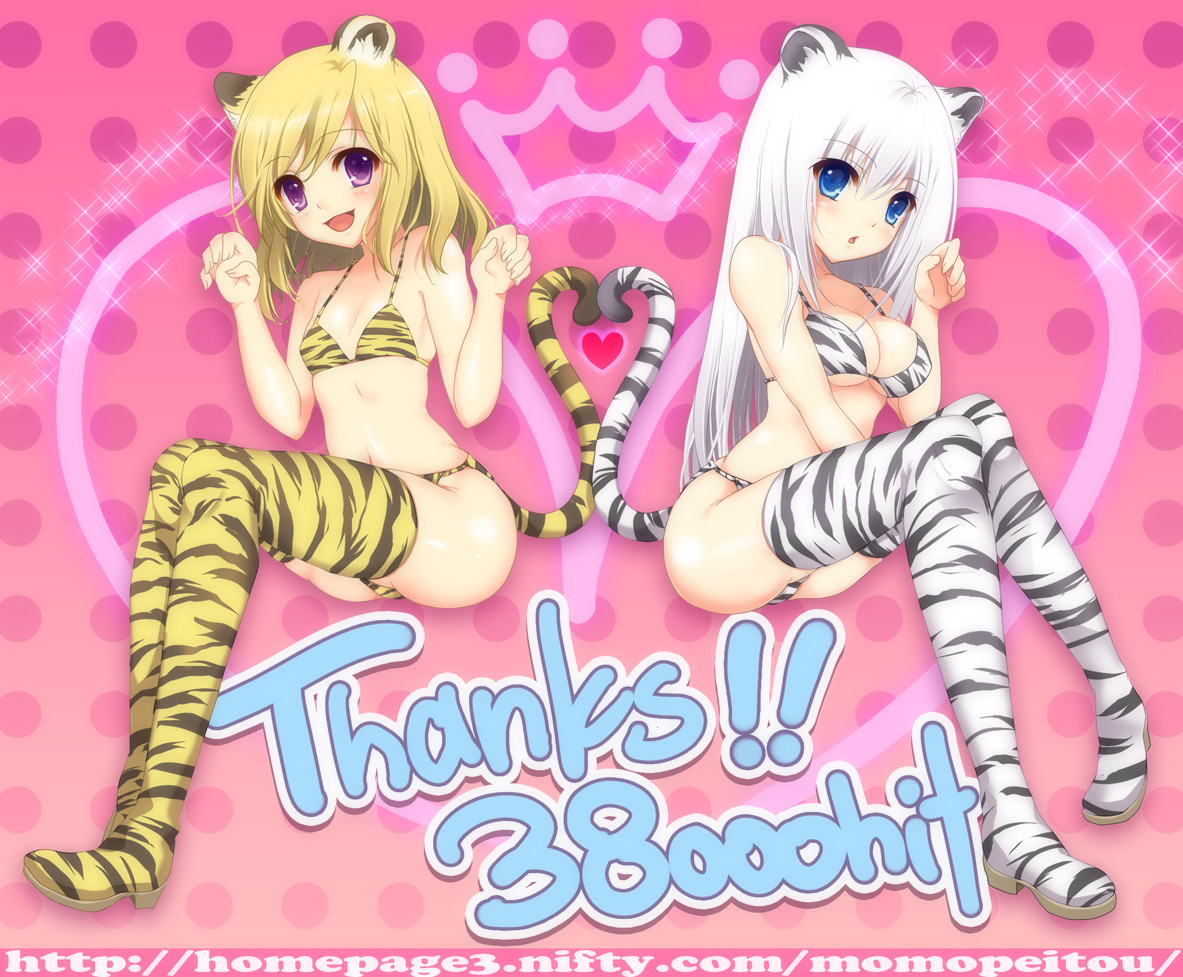 animal_ears, bra, pantsu, tail, thighhighs, yukiuta_sahiro