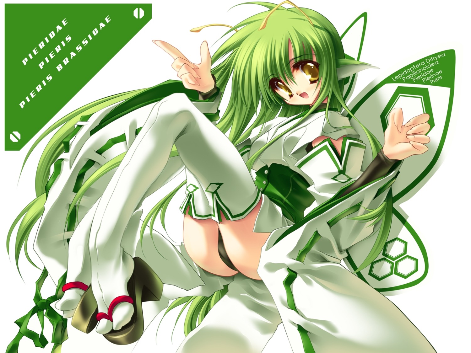 animal_ears, aoi_yuuji, pantsu, thighhighs, wallpaper, wings