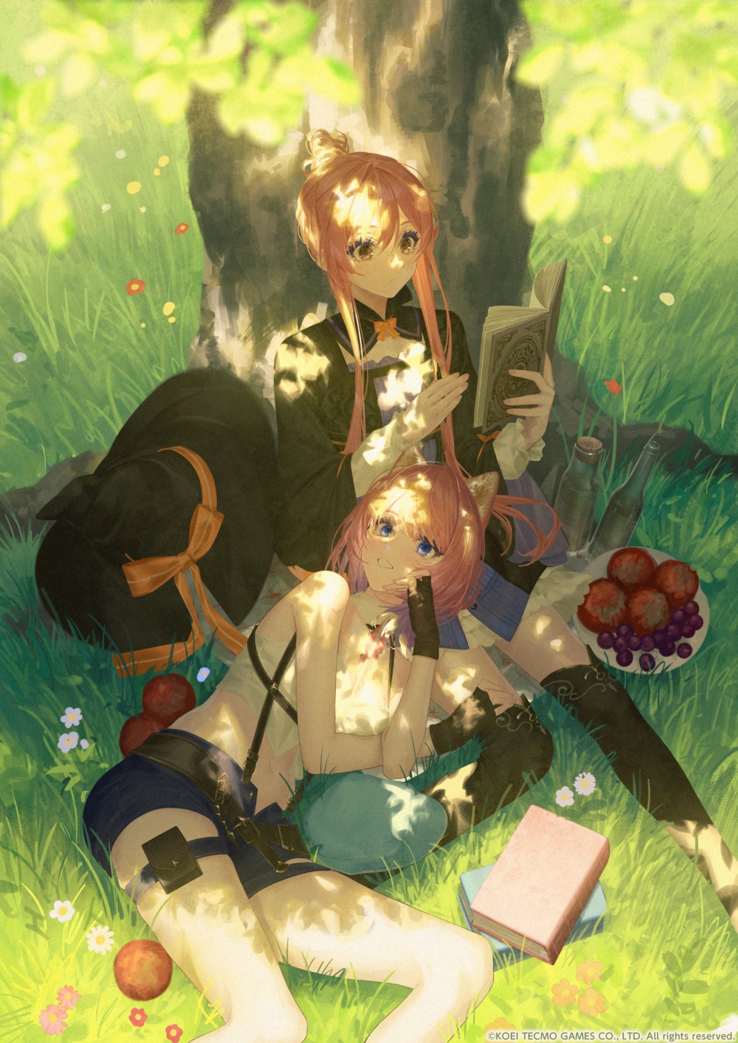animal_ears, atelier, atelier_ayesha, atelier_resleriana, dress, garter, inumimi, koei_tecmo
