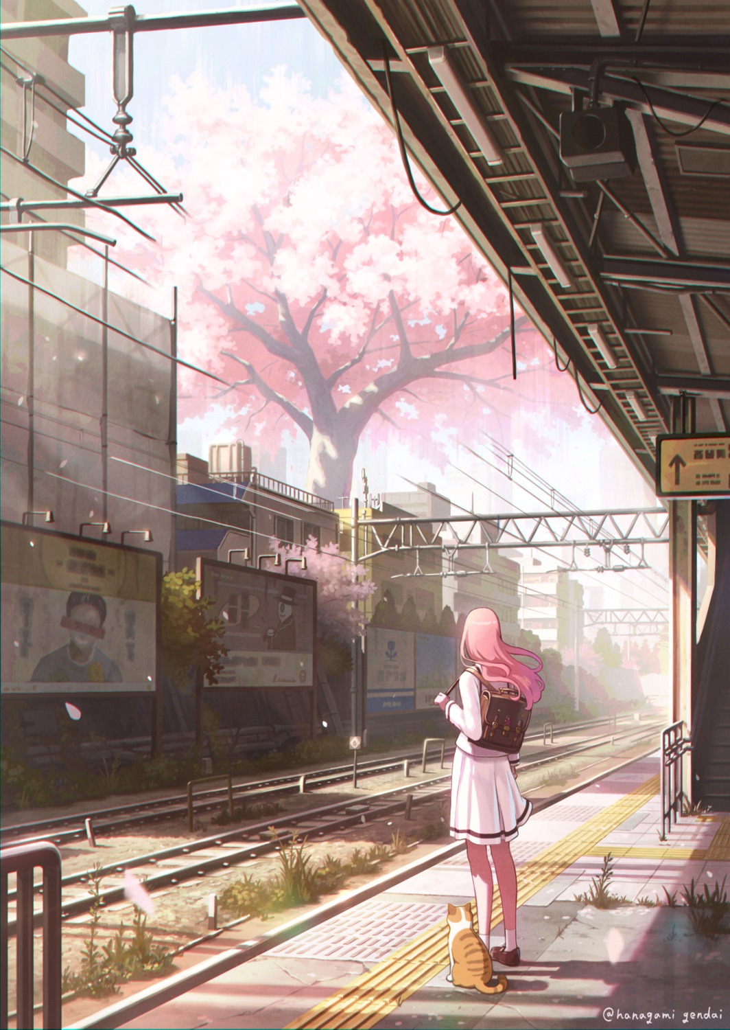 hanagamigendai, landscape, neko, seifuku