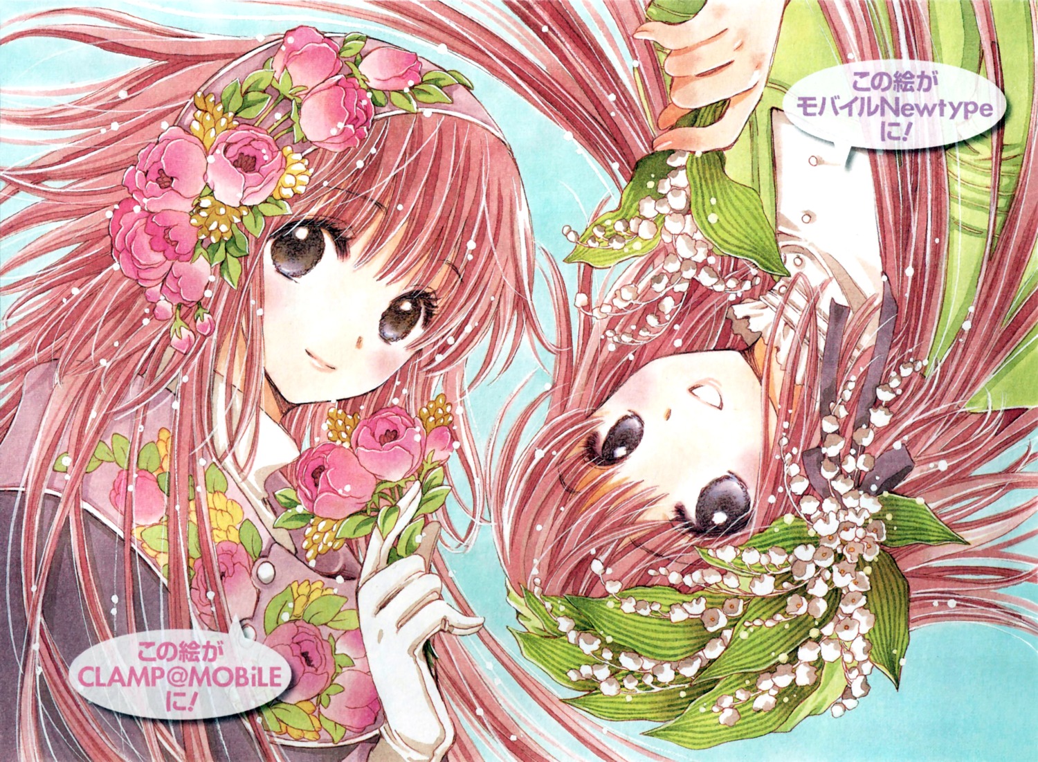 clamp, hanato_kobato, kobato