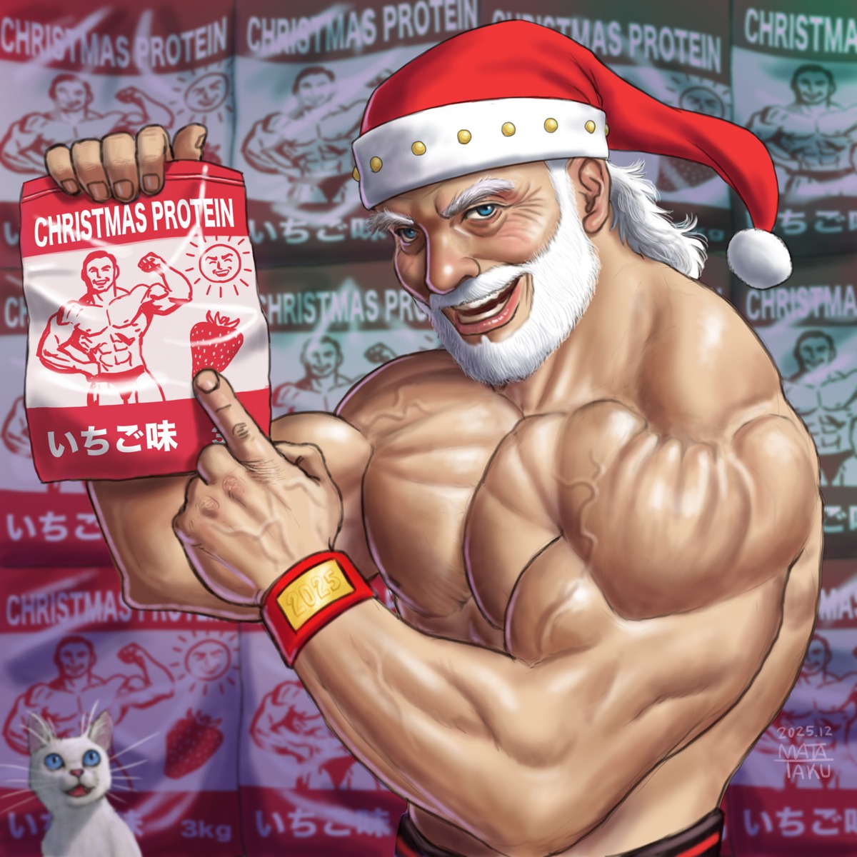 christmas, male, matataku, neko