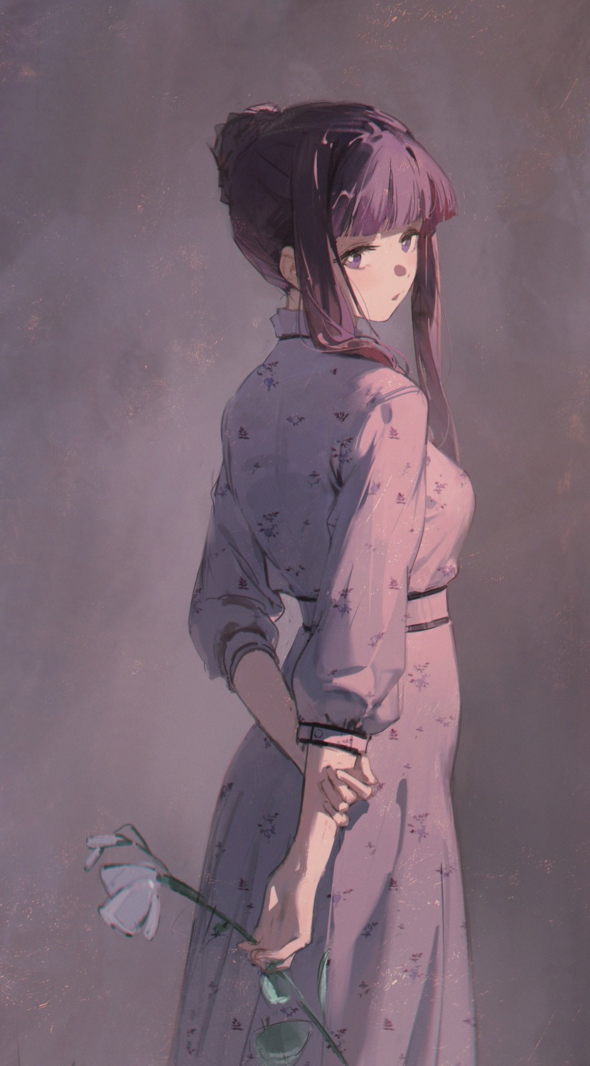 dinoartforame, dress, fern, sousou_no_frieren