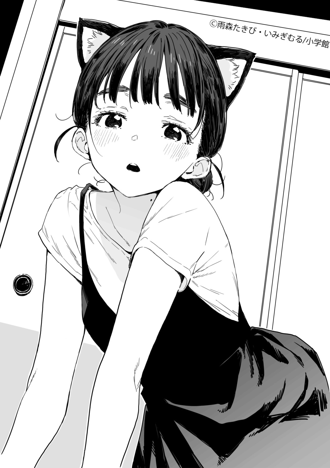 animal_ears, basori_tiara, dress, imigimuru, make_heroine_ga_oosugiru!, monochrome, nekomimi