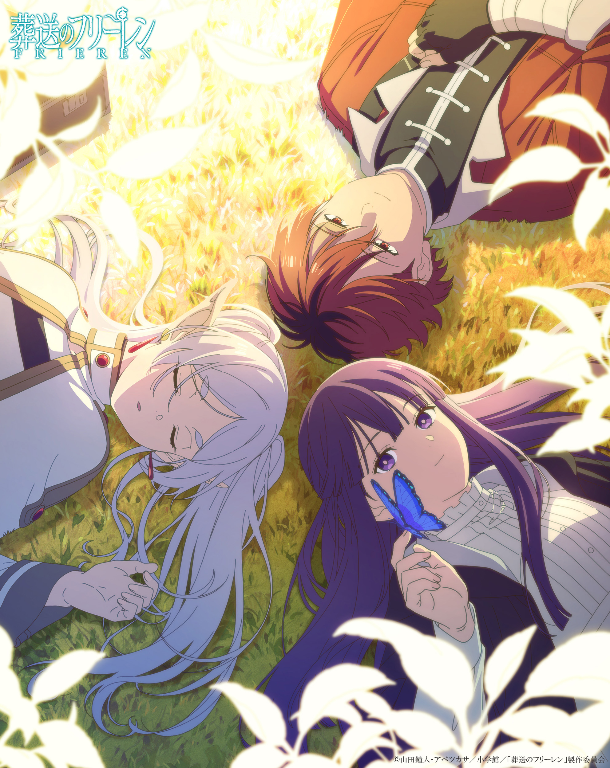 bandages, elf, fern, frieren, pointy_ears, sousou_no_frieren, stark, tagme