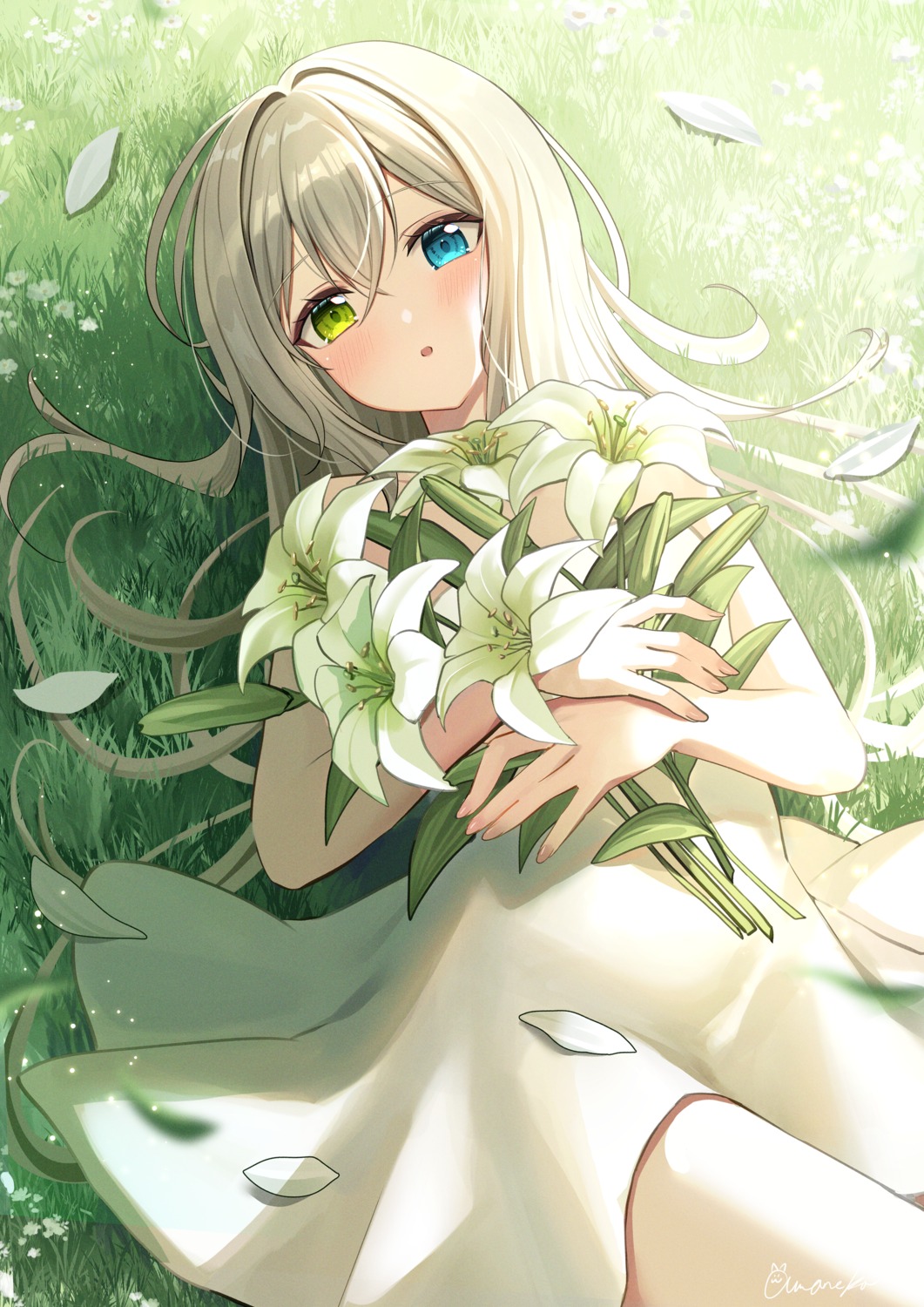 amaneko_(amaneko_y), dress, heterochromia, skirt_lift