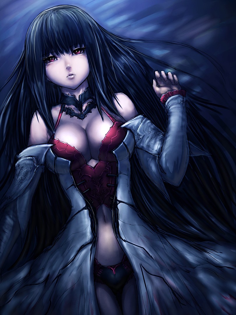 cleavage, humio, lord_of_vermilion, rishia